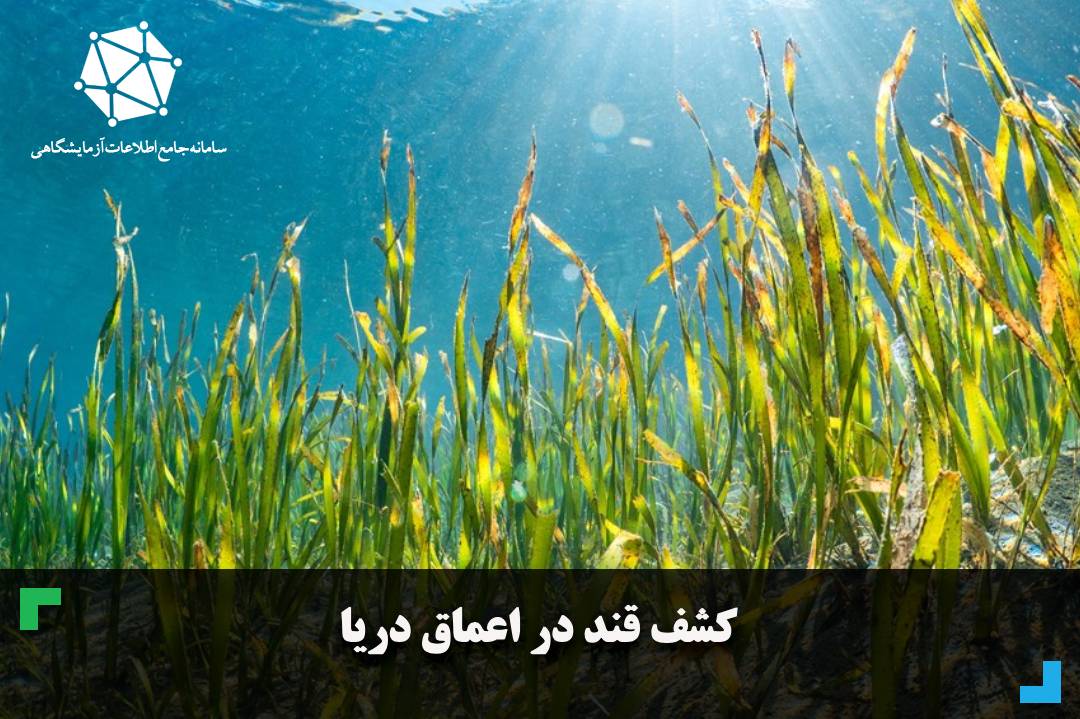 کشف قند در اعماق دریا